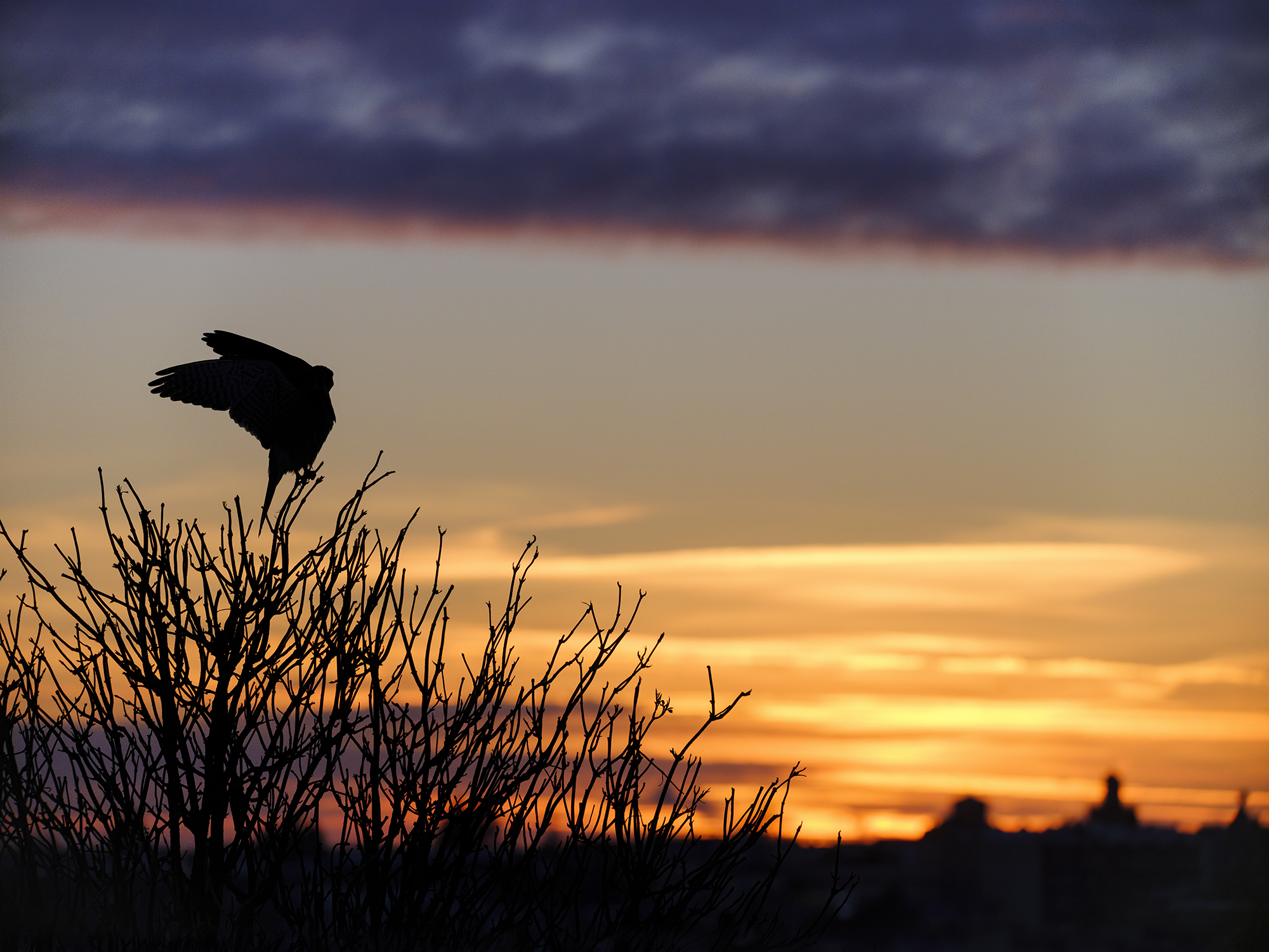 Sonnenuntergang in schönen Farben
